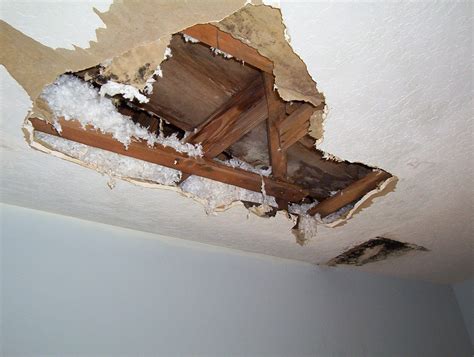 water damage apartment ceiling|How to Handle Your Apartment Ceiling Leak 